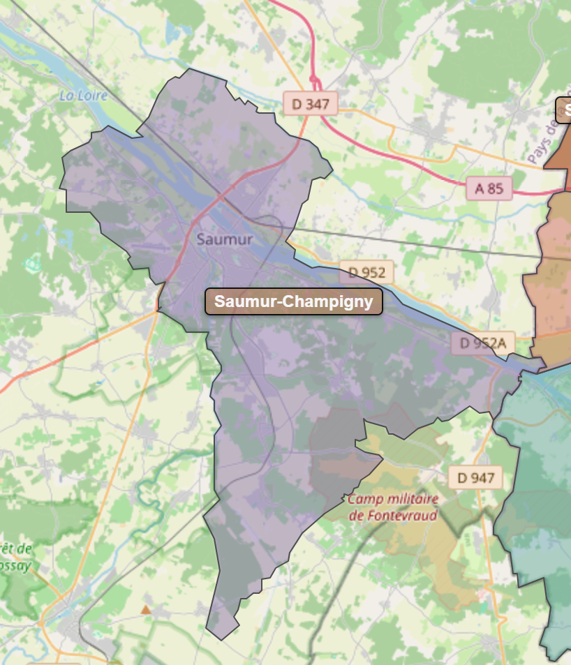 Billede fra regionen Saumur-Champigny AOC/AOP