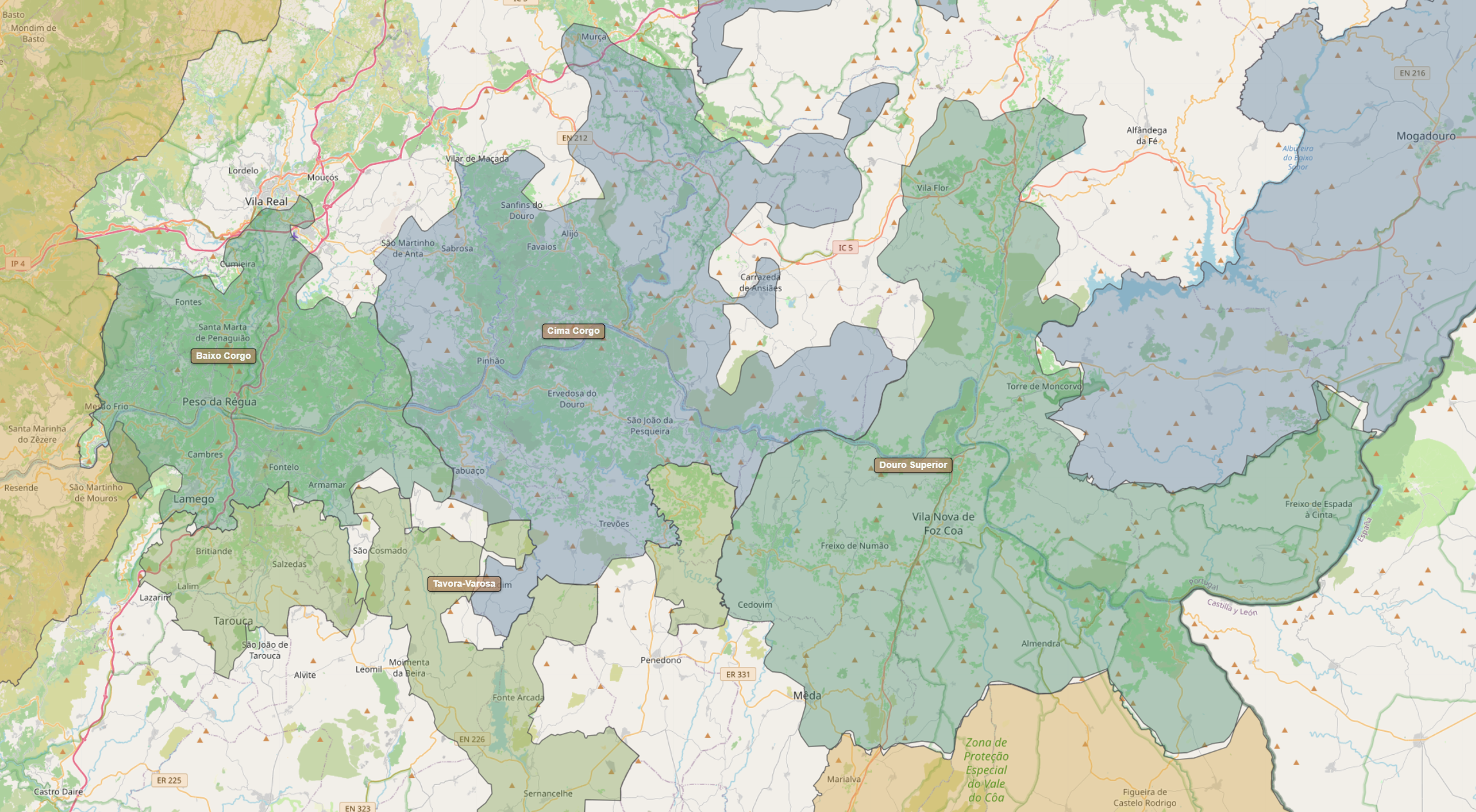 Billede fra regionen Douro