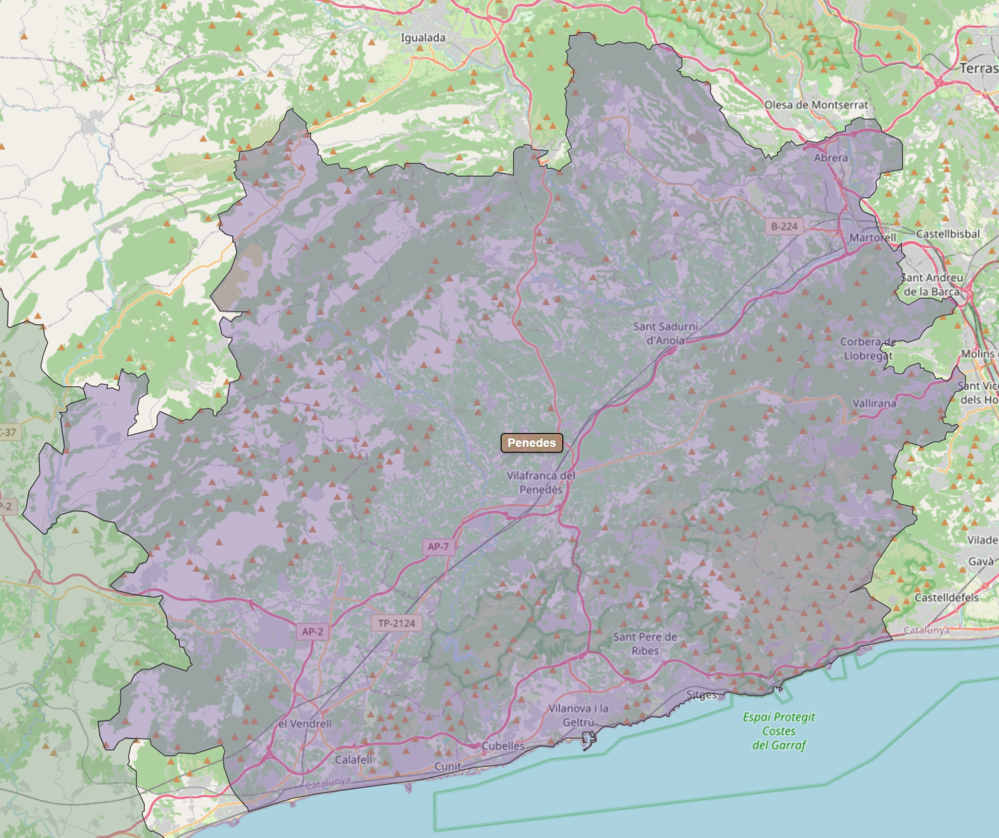 Billede fra regionen Penedes