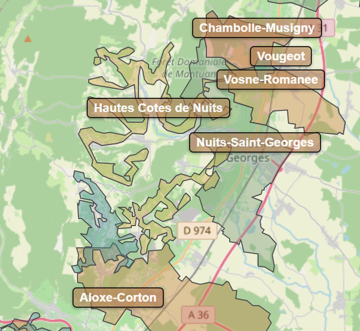 Billede fra regionen Hautes-Cotes de Nuits AOC/AOP