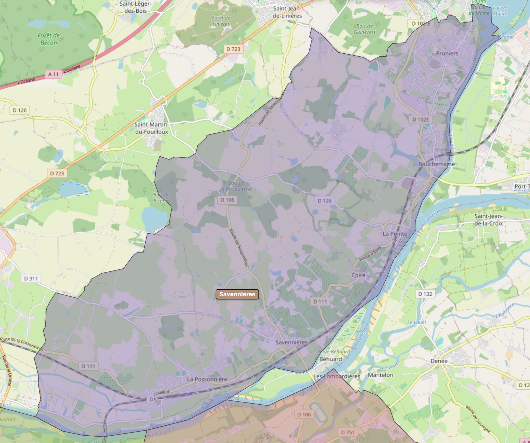 Billede fra regionen Savennieres AOC/AOP