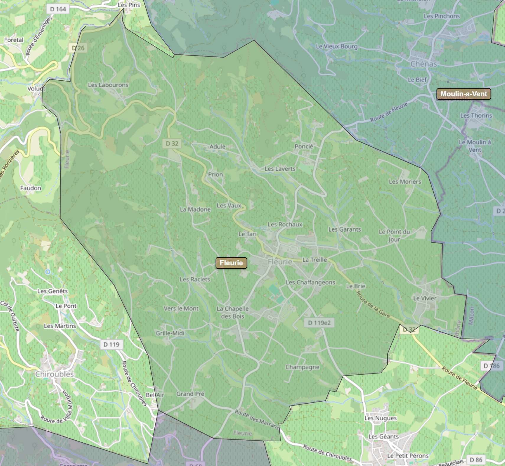 Billede fra regionen Fleurie AOC/AOP
